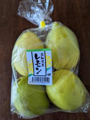 高知県産レモン.jpg