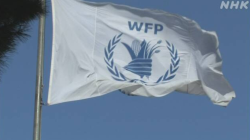 WFP＝世界食糧計画.PNG